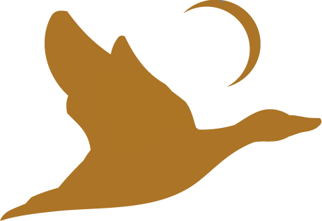 Naturcamping Dresden